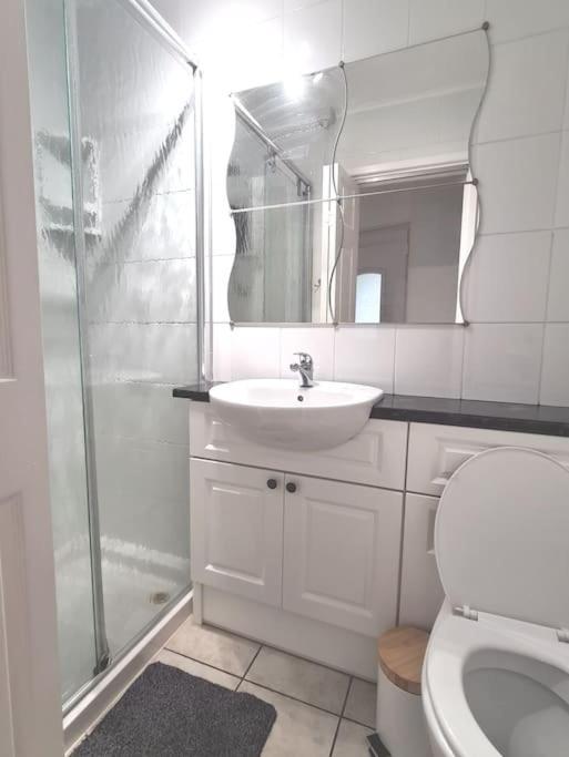 Cosy Self Contained Annexe Appartement Bodmin Buitenkant foto